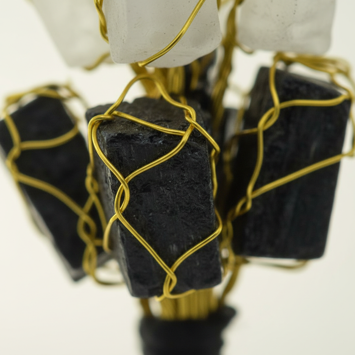 Black Tourmaline & Clear Quartz Protection