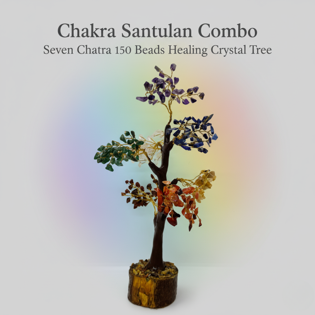 Chakra Santulan Combo